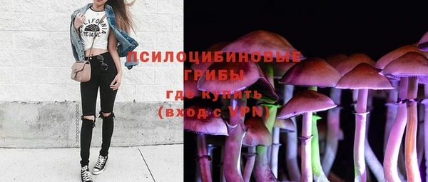 дурь Кинешма