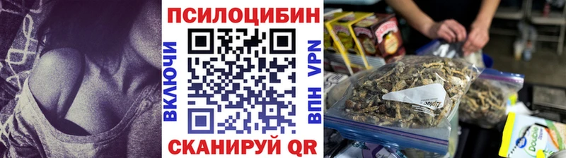 Купить где  Волхов  Галлюциногенные грибы Psilocybine cubensis 